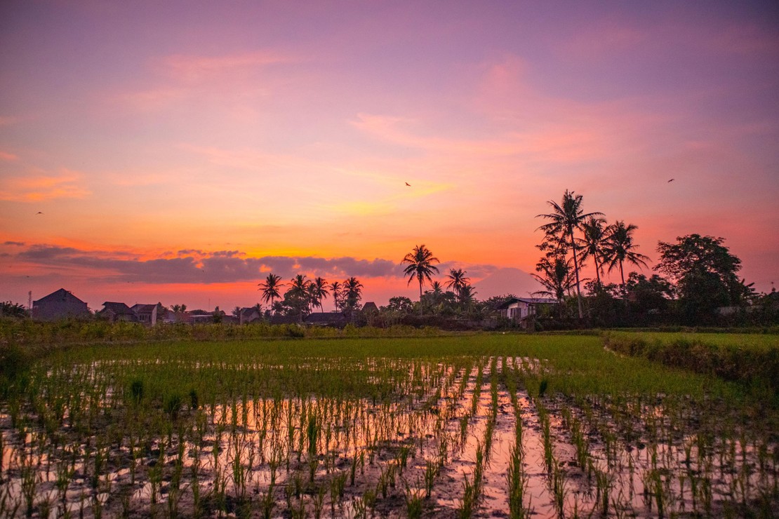 Sumatra, Jáva, Bali