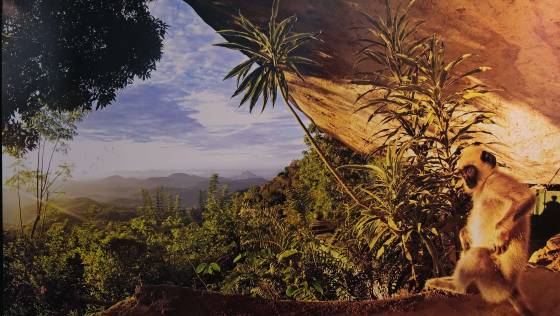 Ivana Šimková Bounty, Srí Lanka