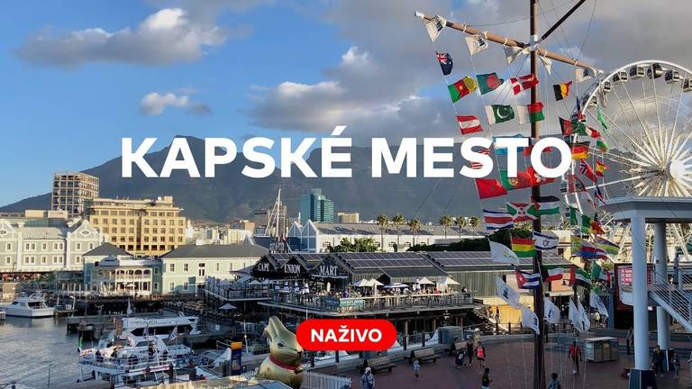 NAŽIVO Z KAPSKÉHO MESTA: Tučniaky žijú prevažne v studených oblastiach, no chodíme za nimi aj sem