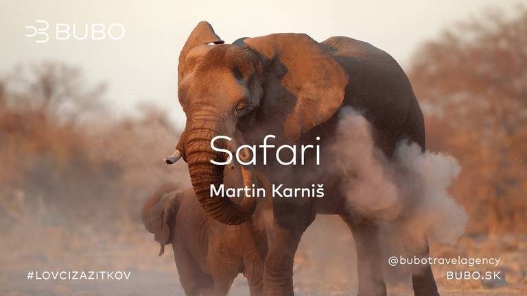 Kam ísť na africké safari?